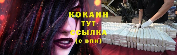 2c-b Краснослободск