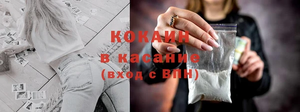 2c-b Краснослободск