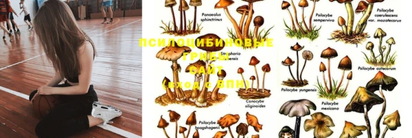 гашишное масло Краснотурьинск