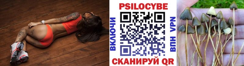 Галлюциногенные грибы Magic Shrooms  Купить  Суворов 
